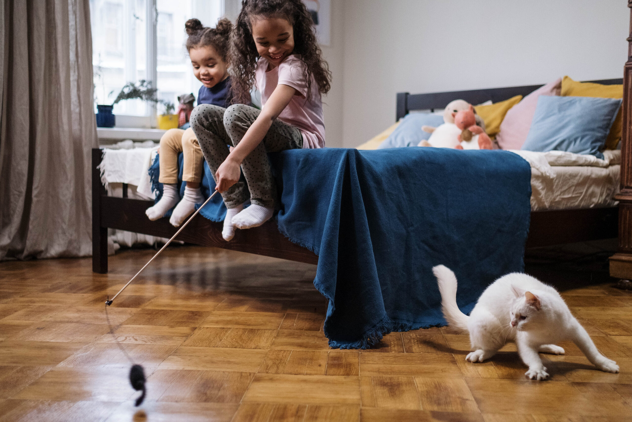 ¡Descubre el juguete Fishy para gatos que hará volar su imaginación!