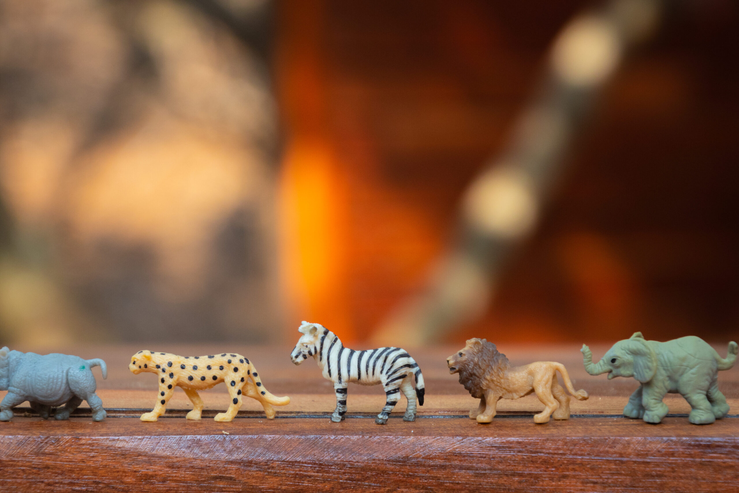 Juguetes para gatos reciclados: ¡Eco-amigables y divertidos!