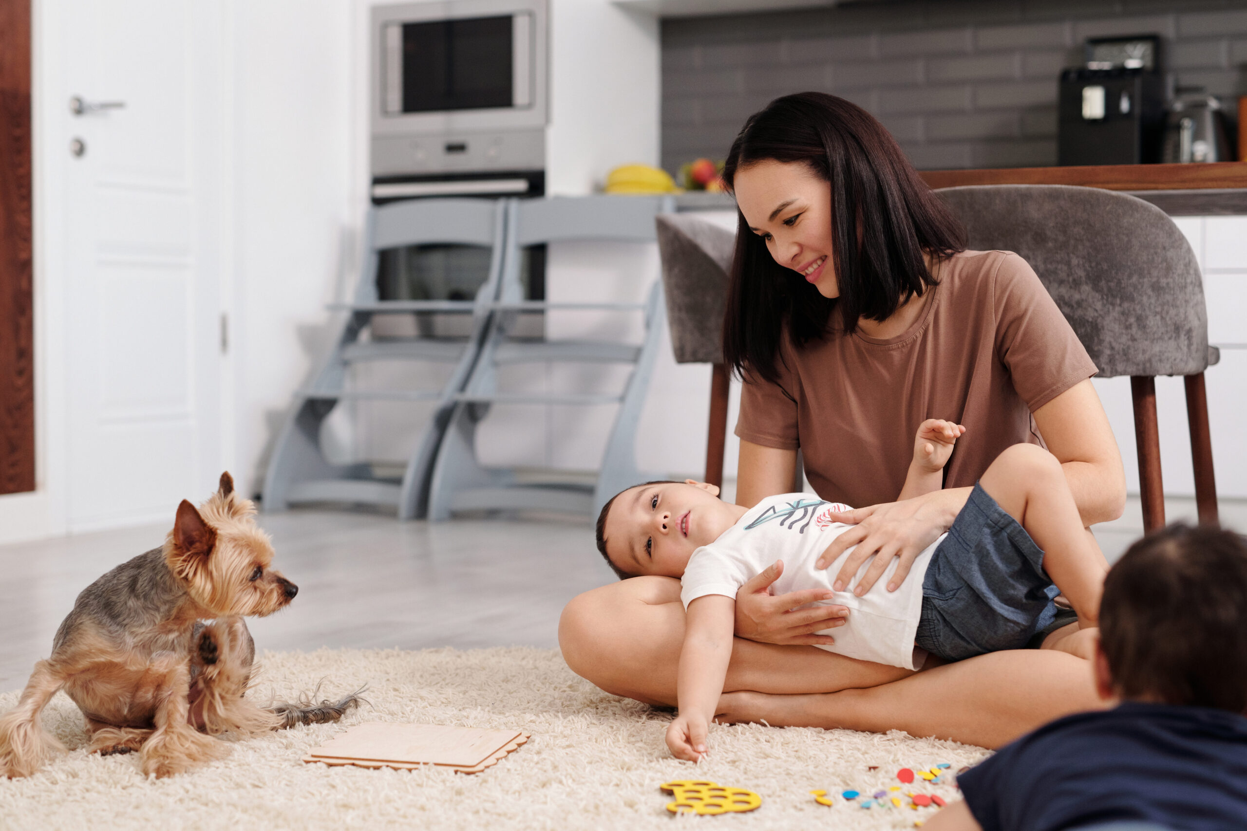 La Mejor Barrera para Perros Grandes: ¡Protege tu Hogar con Calidad!