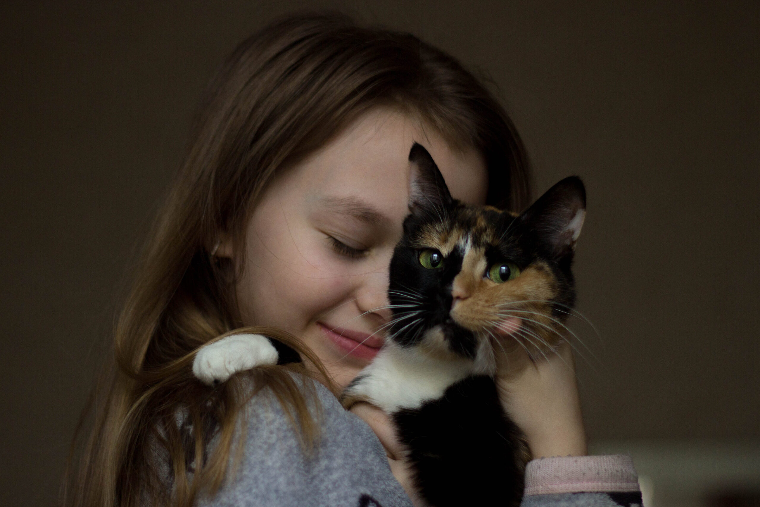 Los 10 mejores juguetes para gato siamés: ¡Tu felino feliz y activo!