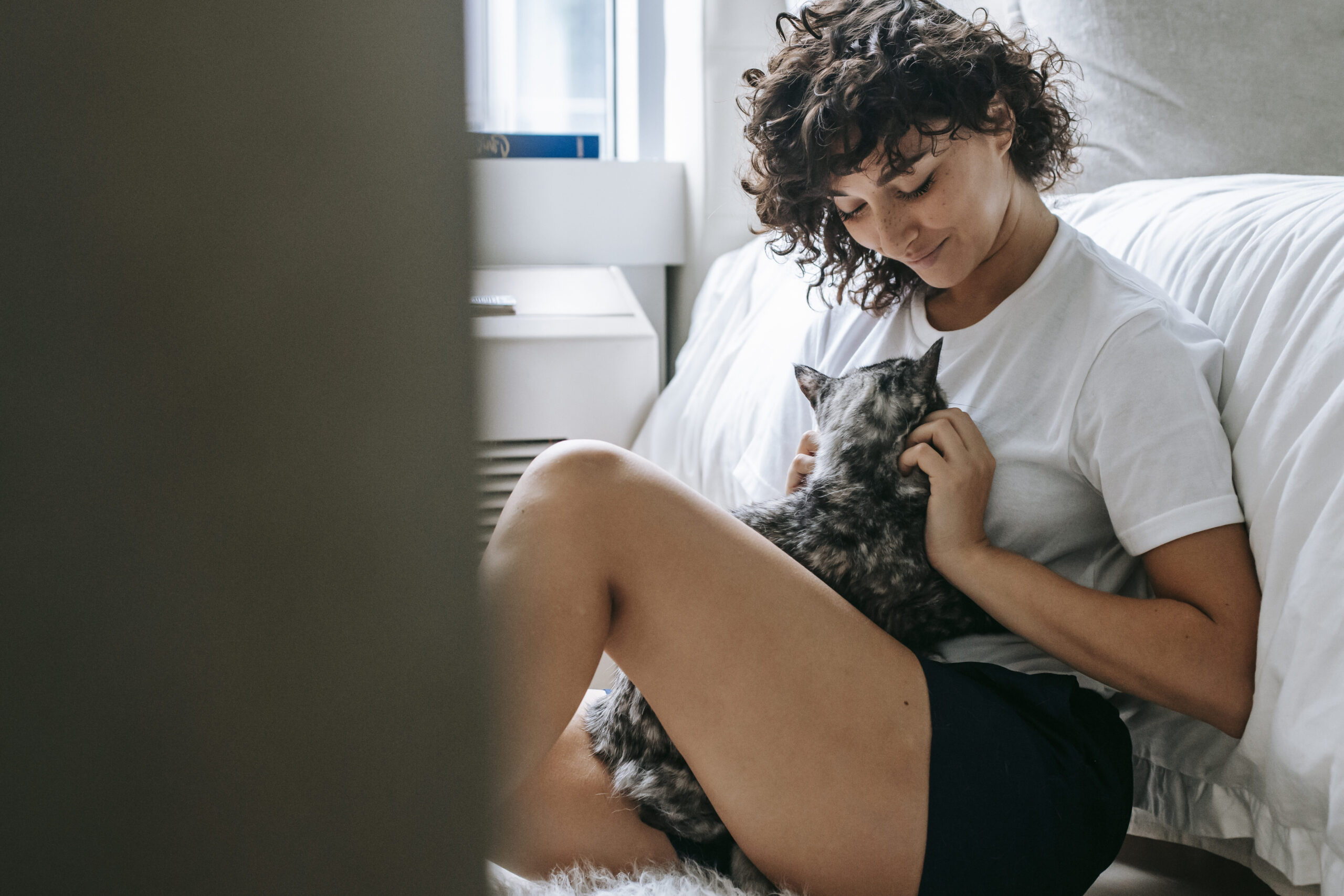 Los 10 mejores juguetes para gatos en Bucaramanga: ¡Mantén a tu felino feliz y entretenido!
