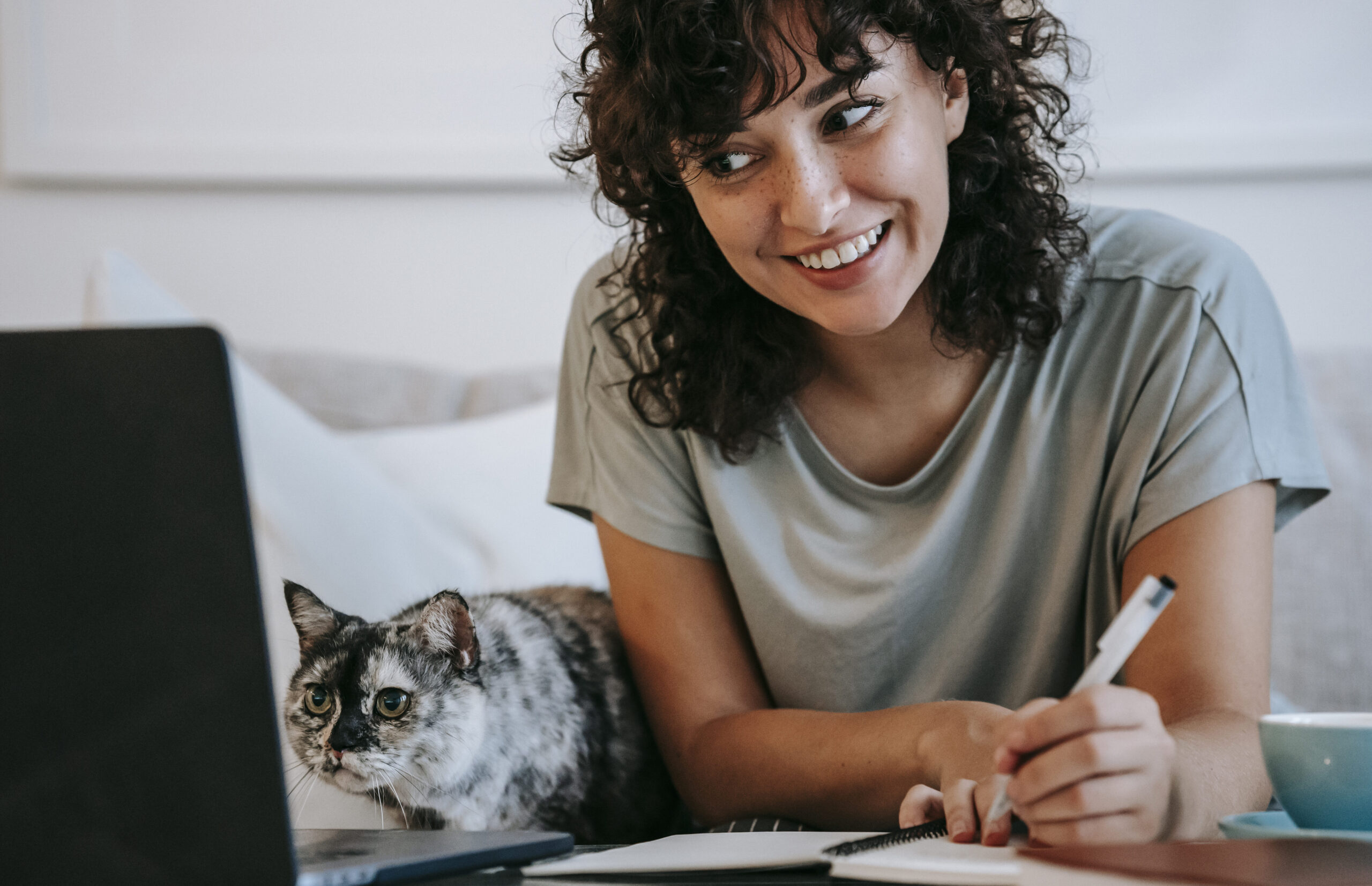 Los 10 mejores juguetes para gatos en Perú: ¡Mantén a tu felino feliz y activo!