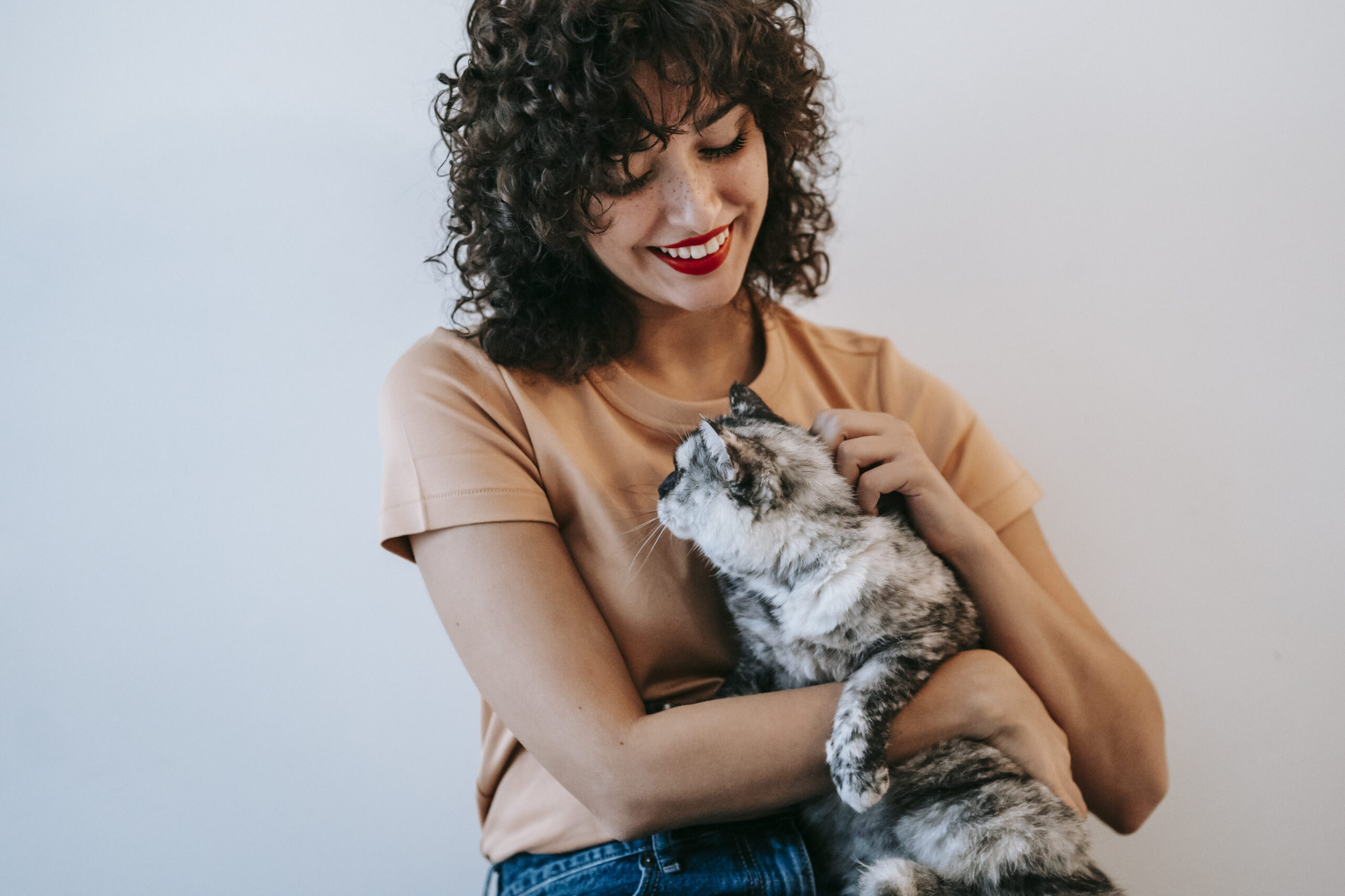 Los 10 mejores juguetes para gatos: ¡Haz feliz a tu felino!