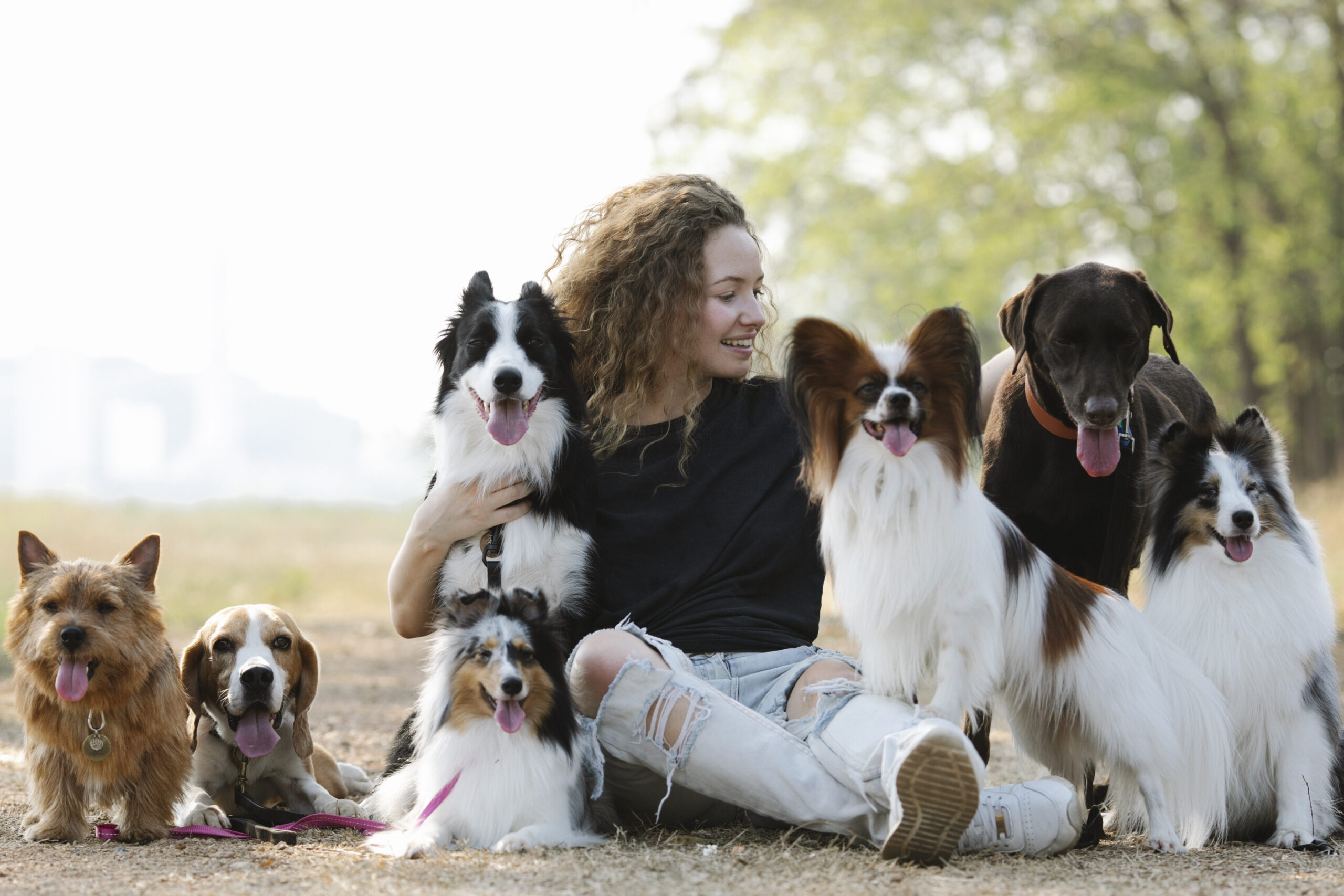 Los mejores juguetes de perro de goma para divertir y entretener a tu mascota