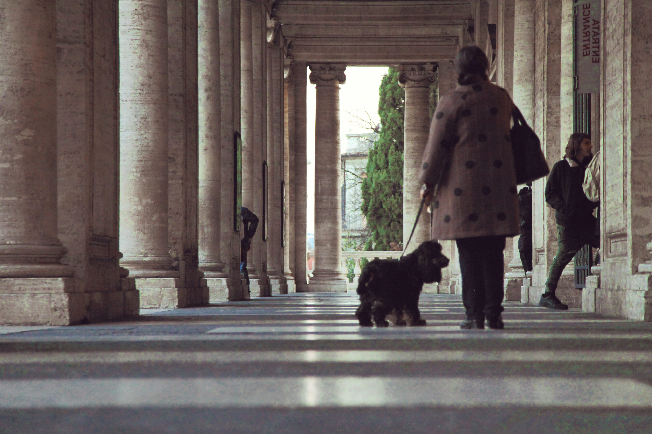 Perro de juguete para pasear: ¡El compañero ideal en tus paseos!