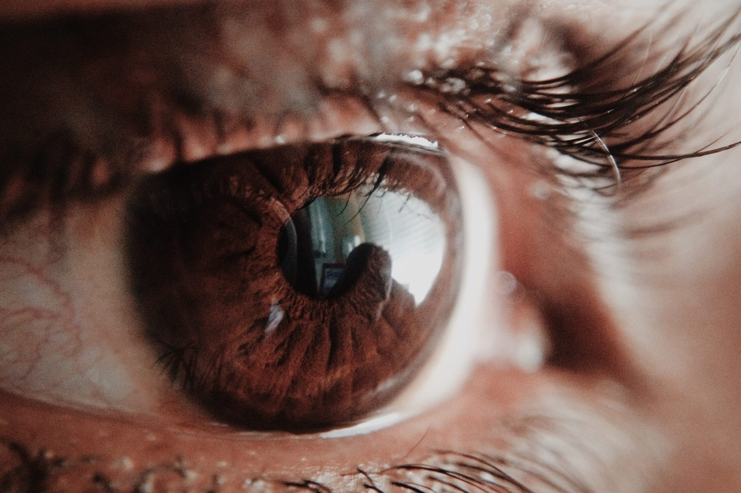Screen Magnifier: 10 razones para mejorar tu visión