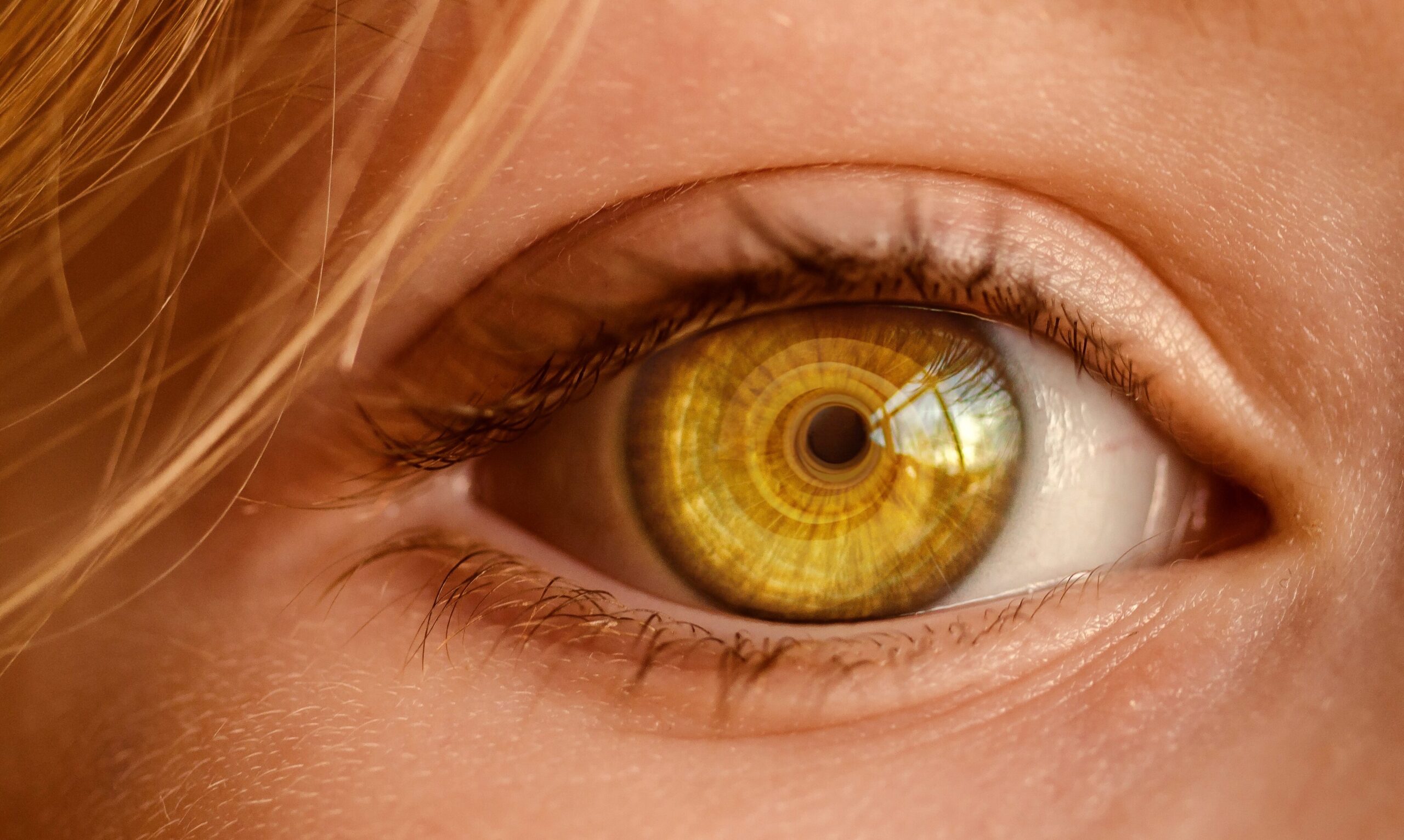 Screen Magnifier Magic: La solución para una visión sin límites